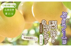 【白龍湖観光農園】《土日祝限定》時間制限なし！ぶどう1房摘み取りと梨狩り体験チケット おとな2名 果物 くだもの フルーツ 202005