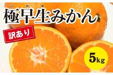 みかん 柑橘【先行受付】【2025年10月中旬以降発送】 甘さと酸味が絶妙！訳あり極早生 みかん 約5kg 三原 佐木島 017064