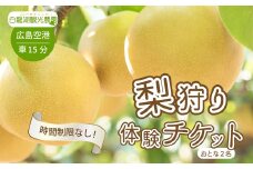 【白龍湖観光農園】梨狩り体験チケットおとな2名 果物 くだもの フルーツ 202004