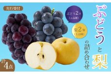 【先行受付】ぶどう2房と梨2個詰め合わせ 2025年9月下旬発送予定 果物 くだもの フルーツ ブドウ なし 葡萄 202008