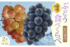 【先行受付】農園おまかせぶどうセット2房(約1.5kg)2025年9月下旬発送予定 果物 くだもの フルーツ ブドウ 葡萄 202007