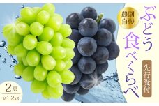 【先行受付】農園自慢のぶどうを食べくらべ♪シャインマスカット1房おまかせぶどう1房 2025年9月下旬発送予定 果物 くだもの フルーツ ブドウ 葡萄 202006