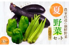 【先行受付】みのる農園 農家直送！夏野菜セット(ピーマン、ナス、オクラ)3.5kg やさい 詰合せ BBQ 2025年7月～10月上旬お届け 広島県三原市 206002