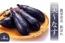 【先行受付】みのる農園 農家直送！美～なす 4kg ナス 野菜 やさい 2025年7月～10月上旬お届け 広島県三原市 206005