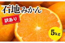 訳あり みかん 柑橘【先行受付】【2025年12月以降発送】糖度が高く濃厚！ 訳あり 石地みかん ＜約5kg＞ 広島 三原 佐木島 鷺島みかんじま 017065