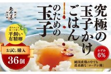 【お試し夏季】瀬戸内柑太郎『島たまご』平飼い有精卵 36個(34個＋割れ補償2個)  平飼い 純国産鶏 コーチン種 卵 たまご 佐木島 三原 広島 夏季 017071