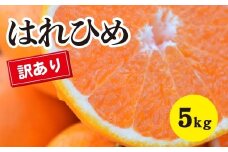 みかん【先行受付】【2026年1月以降発送】 爽やかな香りと甘さに満足！ 新品種 訳ありはれひめ ＜約5kg＞ 広島 三原 佐木島 鷺島みかんじま 017066