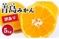 みかん【先行受付】【2026年1月末以降発送】濃厚な甘さが特徴！訳あり青島みかん ＜約5kg＞ 広島 三原 佐木島 鷺島みかんじま 017067