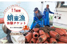 各日1組限定！貸切！蛸壷漁体験！（お土産付き）1名～5名 たこ タコ 伝統 山立て 漁法 夏休み 思い出 学習 宿題 自由研究 旅行 家族 レジャー 利用券 トラベル 広島県 三原市  031009