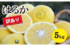 みかん【先行受付】【2026年3月中旬以降発送】濃厚な甘みに驚愕！ 瀬戸内の訳ありはるか＜約5kg＞広島 三原 佐木島 鷺島みかんじま 017069
