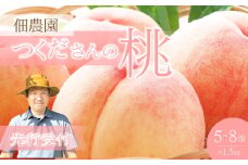 【先行受付】つくださんの桃 5～8個 約1.5kg もも モモ 果物 フルーツ 夏 広島県三原市 210002