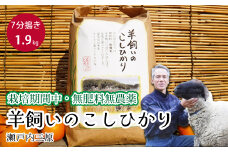 【栽培期間中・無肥料無農薬】瀬戸内三原 羊飼いのこしひかり７分搗き 1.9kg 瀬戸内ビオファーム お米 こめ ご飯 002010