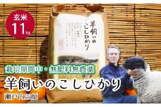 【栽培期間中・無肥料無農薬】瀬戸内三原 羊飼いのこしひかり 玄米11kg 瀬戸内ビオファーム お米 こめ ご飯 002011