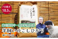 【栽培期間中・無肥料無農薬】瀬戸内三原 羊飼いのこしひかり 7分搗き 10.5kg 瀬戸内ビオファーム お米 こめ ご飯 002012