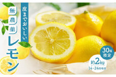 【20限定】皮まで美味しい無農薬レモン 約2kg【瀬戸田 瀬戸田レモン 檸檬 瀬戸内レモン フルーツ 柑橘 シトラス 無農薬 有機肥料 防腐剤不使用 レモネード はちみつ 尾道市 広島】