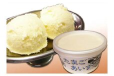 【12個】尾道海岸通りの『たまごあいす』【たまごあいす  アイス スイーツ アイスクリーム ICE たまご 美味しい 小分け 12個 広島県 尾道市】