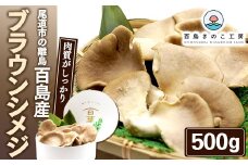 尾道市の離島　百島産「ブラウンシメジ」【しめじ きのこ 肉厚 食品 国産 おすすめ 広島県 尾道市】