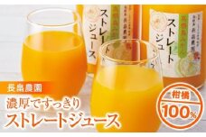 濃厚ですっきりとした味わいの柑橘100％ジュース2本入り長畠農園 ストレートジュース【 2本詰め合わせ 720ml×2本 ふるさと納税 果汁 100％ みかんジュース 2本 詰め合わせ】