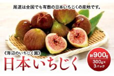 【期間限定】《海辺のいちじく園》日本いちじく  300g×3パック