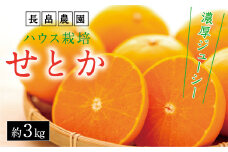 濃厚・ジューシー！ハウス栽培せとか　約3ｋｇ　化粧箱入り　＜2025年2月下旬より発送開始＞【みかん せとか フルーツ 果物 青果 柑橘 お取り寄せ 尾道市】