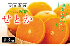 濃厚・ジューシー！ハウス栽培せとか　約3ｋｇ　化粧箱入り　＜本年は生産量激減の為数量限定＞【みかん せとか フルーツ 果物 青果 柑橘 お取り寄せ 尾道市】