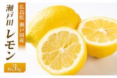 瀬戸田レモン3ｋｇ　＜2024年11月上旬より発送開始＞【レモン れもん フルーツ 果物 青果 柑橘  瀬戸田レモン 国産 有機 お取り寄せグルメ 尾道市】