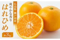爽やかな香り！！ はれひめ ３ｋｇ　＜2024年12月下旬より発送開始＞【みかん 蜜柑 フルーツ 果物 青果 柑橘 尾道市】