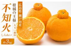 柑橘の王様　大玉・濃厚な不知火（しらぬい）3ｋｇ　＜2025年3月中旬より発送開始＞【みかん 人気 瀬戸田 広島県尾道市】