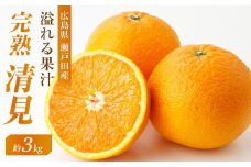 めっちゃジューシー　完熟清見3ｋｇ　＜2025年3月下旬より発送開始＞【ミカン みかん 蜜柑 フルーツ 果物 完熟 青果 柑橘 尾道市】