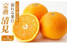めっちゃジューシー　完熟清見3ｋｇ　＜2026年3月下旬より発送開始＞【ミカン みかん 蜜柑 フルーツ 果物 完熟 青果 柑橘 尾道市】