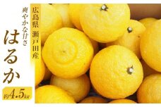 爽やかな甘さのはるか　4.5ｋｇ　＜2026年2月下旬より発送開始＞【はるか みかん フルーツ 果物 青果 柑橘 尾道市】