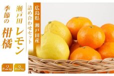 瀬戸田レモン3ｋｇと季節の柑橘2ｋｇ＜2025年11月下旬より発送開始＞【みかん レモン 檸檬  果物 フルーツ 詰め合わせ セット 人気 おすすめ 瀬戸内 広島県  尾道市】