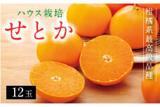 ハウスせとか（１２玉入り）