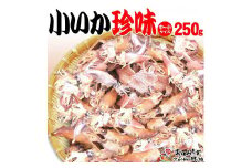 【中小 250ｇ】小いか珍味　国産無添加広島県産【いか 無添加 国産 ビールのおつまみ ビールのお供 おつまみ おやつ ご飯のおかず 煮干し お取り寄せ 広島 尾道】