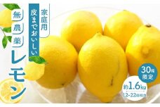 【30箱限定】皮まで美味しい無農薬レモン　家庭用1.6kg【瀬戸田 瀬戸田レモン 檸檬 瀬戸内レモン フルーツ 柑橘 シトラス 無農薬 有機肥料 防腐剤不使用 レモネード はちみつ 尾道市 広島】