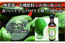 【先行予約】無農薬・有機肥料で大切に育てた パパイヤ（2-3玉1.5キロ前後）と パパイヤ酢300mlのセット
