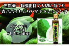 【先行予約】無農薬・有機肥料で大切に育てた パパイヤ（2-3玉1.5キロ前後）と パパイヤドレッシングのセット