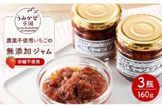 いちごの無添加ジャム（農薬不使用栽培・砂糖不使用）160g×3瓶