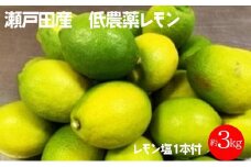 【期間限定】瀬戸田産 低農薬レモン 約3キロ【柑橘 檸檬 フルーツ 果物 しまなみ 瀬戸内 くだもの 人気 おすすめ 広島県  尾道市】