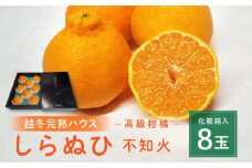 高級柑橘 贈答用 越冬完熟ハウスしらぬひ（不知火）化粧箱8玉【みかん 不知火 柑橘 果物 フルーツ 産地直送 人気 おすすめ 瀬戸内 広島県  尾道市】