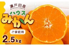 とろけるような完熟ハウスみかん2.5キロ＜7月1日～順次発送＞ドルチェみかん フルーツ 柑橘 果物 産直【みかん 柑橘 果物 フルーツ 人気 おすすめ 瀬戸内 広島県  尾道市】