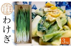 わけぎ　3キロ【野菜 ねぎ 分葱 人気 おすすめ 広島県  尾道市】