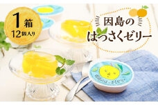 因島のはっさくゼリー（78g×12個）【八朔 はっさく ゼリー 柑橘 みかん オレンジ デザート スイーツ 人気 おすすめ 広島県 尾道市】