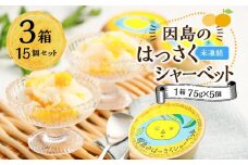 因島のはっさくシャーベット(未凍結）（75g×5個）3箱 15個セット【八朔 柑橘 みかん ゼリー シャーベット デザート おやつ 広島の 給食 はっさく JA 広島 尾道】