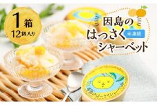 因島のはっさくシャーベット(未凍結）（75g×12個）【ひろしま銘菓 スウィーツ 菓子 贈り物 土産 広島県 尾道市】