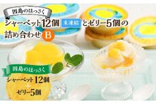 因島のはっさくシャーベット(未凍結）とゼリーの詰め合わせB （シャーベット12個、ゼリー5個）【17個セット ひろしま銘菓 八朔 はっさくゼリー スウィーツ 菓子 贈り物 土産 広島県 尾道市】