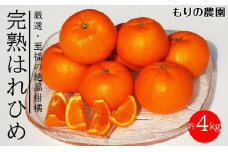 厳選！はれひめ「みかんの甘み」と「オレンジの香り」の新品種！（約4kg）フルーツ お取り寄せ 産地直送【みかん 柑橘 果物 フルーツ 人気 おすすめ 瀬戸内 広島県  尾道市】