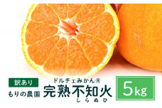 【訳あり】もりの農園 完熟しらぬひ（不知火）  5kg【しらぬい 果物 フルーツ 人気 おすすめ 瀬戸内 広島県  尾道市】