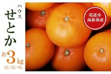 せとか（ハウス）約3kg（2L・3L・4L）