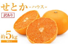せとか（ハウス）約5kg（М以上）【2025年3月から発送】【家庭用 せとか 瀬戸内 柑橘 フルーツ 果物 くだもの 食品 人気 おすすめ 広島県 尾道市】